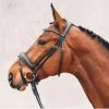 Schockemohle Stanford Anatomic Bridle -Equestrian Supplies Store 1101 00042 c1105