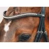 Schockemohle Select And Mix Diamond Browband -Equestrian Supplies Store 1102 00079 c1154