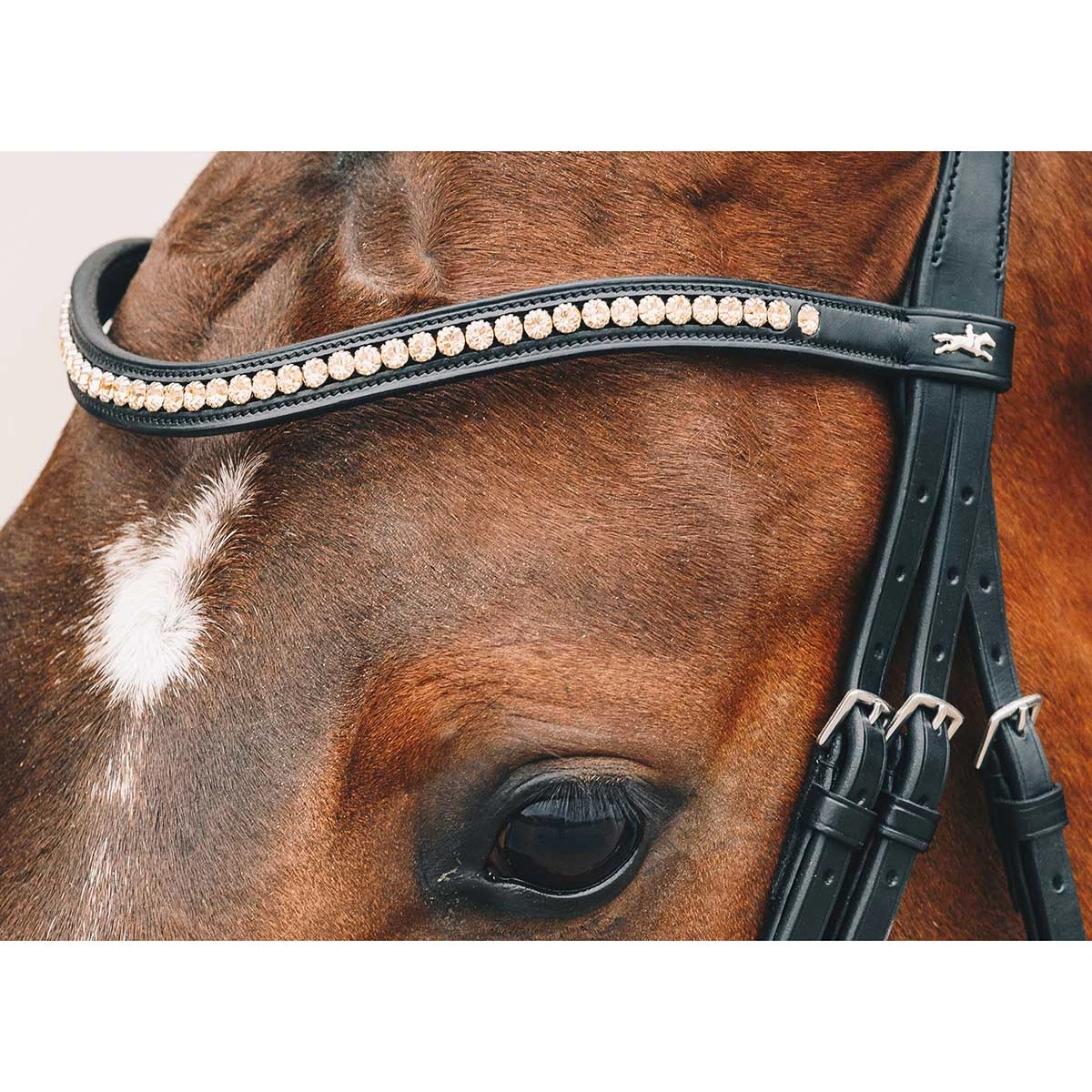 Schockemohle Select And Mix Diamond Browband 3 Schockemohle Select And Mix Diamond Browband