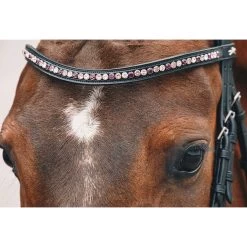 Schockemohle Select And Mix Diamond Browband 9 Schockemohle Select And Mix Diamond Browband -Equestrian Supplies Store 1102 00079 c1157