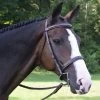 Black Oak Spruce Fancy Stitch Hunter Bridle -Equestrian Supplies Store 111401 c1109