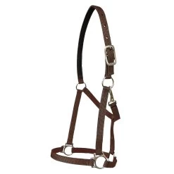Walsh Nylon Halter .75 Inch -Equestrian Supplies Store 1136 c1109