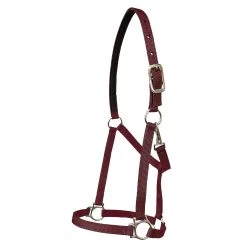 Walsh Nylon Halter .75 Inch -Equestrian Supplies Store 1136 c1110