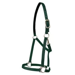 Walsh Nylon Halter .75 Inch -Equestrian Supplies Store 1136 c1129