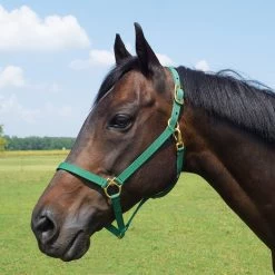 Walsh Nylon Halter .75 Inch -Equestrian Supplies Store 1136 c1133