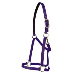Walsh Nylon Halter .75 Inch -Equestrian Supplies Store 1136 c1157