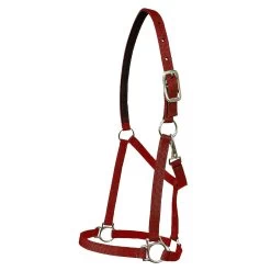 Walsh Nylon Halter .75 Inch -Equestrian Supplies Store 1136 c1158