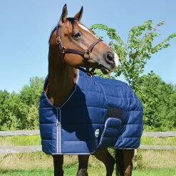 Country Pride Squall Heavyweight Stable Blanket