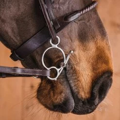 Fager Gustav Sweet Iron Universal Baby Fulmer Bit - Test Ride Bit -Equestrian Supplies Store 22gust u 4