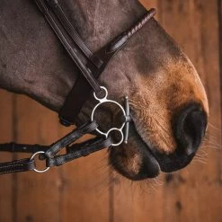 Fager Gustav Sweet Iron Universal Baby Fulmer Bit - Test Ride Bit -Equestrian Supplies Store 22gust u 5