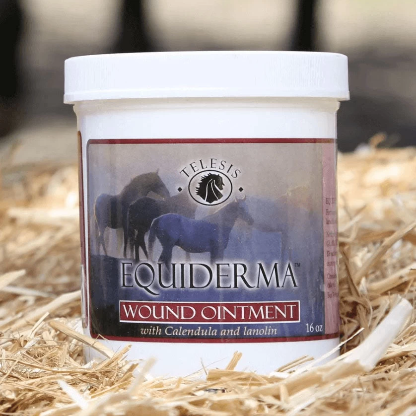 Equiderma Wound Ointment Calendula And Lanolin 16 Oz 3 Equiderma Wound Ointment Calendula And Lanolin 16 Oz
