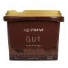 Equithrive Gut Pellets 3.3 Lb -Equestrian Supplies Store 2773p