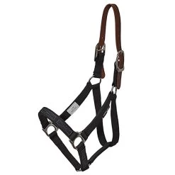 Flexible Filly Turnout Halter