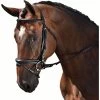 M Toulouse Euro Dressage Bridle -Equestrian Supplies Store 3014m c1105
