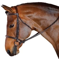 M Toulouse MTL Standard Hunter English Bridle