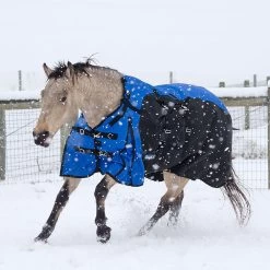 Tough 1 Bellyband 1200D Turnout Blanket With Snuggit Neck 250 Gm -Equestrian Supplies Store 32 12250 c1106 alt1