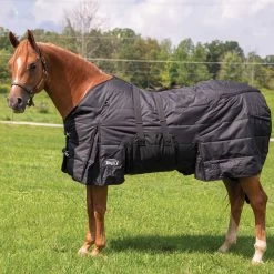 Tough 1 600D Stable Blanket With Belly Wrap 250g