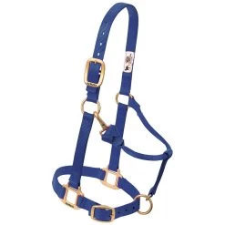 Weaver Leather Weaver Nylon Halter - Suckling Size -Equestrian Supplies Store 35 1030 c1106