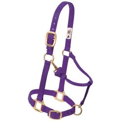 Weaver Leather Weaver Nylon Halter - Suckling Size -Equestrian Supplies Store 35 1030 c1157