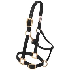 Weaver Leather Weaver Nylon Halter Weanling Pony Size 15 Weaver Leather Weaver Nylon Halter Weanling Pony Size -Equestrian Supplies Store 35 1032 c1105 19b4f246 fb7e 418d a642 46c43d39549f