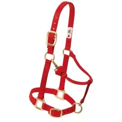 Weaver Leather Weaver Nylon Halter Weanling Pony Size 13 Weaver Leather Weaver Nylon Halter Weanling Pony Size -Equestrian Supplies Store 35 1032 c1158