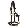 Weaver Leather Weaver Miniature Horse Adjustable Nylon Halter Large 2 Weaver Leather Weaver Miniature Horse Adjustable Nylon Halter Large -Equestrian Supplies Store 35 4805 c1105