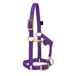 Weaver Leather Weaver Miniature Horse Adjustable Nylon Halter Large -Equestrian Supplies Store 35 4805 c1157