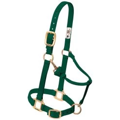 Weaver Leather Weaver Original Yearling Horse Nylon Halter -Equestrian Supplies Store 35 7033 c1129