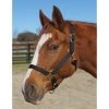Weaver Leather Weaver Nylon Halter Average Horse Size -Equestrian Supplies Store 35 7035 c1105