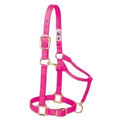 Weaver Leather Weaver Nylon Halter Average Horse Size -Equestrian Supplies Store 35 7035 c1128 7b7dfd28 3416 46ba 9652 39ec70c51464