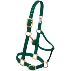 Weaver Leather Weaver Nylon Halter Average Horse Size -Equestrian Supplies Store 35 7035 c1129