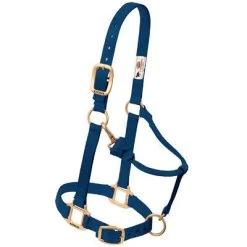 Weaver Leather Weaver Nylon Halter Average Horse Size -Equestrian Supplies Store 35 7035 c1146 f40de451 286f 4ad7 953e 83ddb1c92573