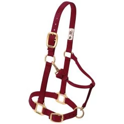Weaver Leather Weaver Original Large Horse Nylon Halter -Equestrian Supplies Store 35 7036 c1110