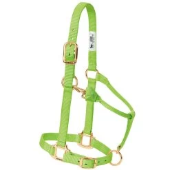 Weaver Leather Weaver Original Large Horse Nylon Halter -Equestrian Supplies Store 35 7036 c1141
