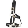 Weaver Leather Weaver Draft Horse Halter Nylon - Average Draft Size -Equestrian Supplies Store 35 7635 c1105