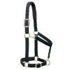 Weaver Leather Weaver Padded Adjustable Nylon Halter -Equestrian Supplies Store 35 77w c1105