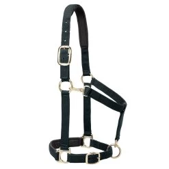 Weaver Leather Weaver Padded Adjustable Nylon Halter -Equestrian Supplies Store 35 77w c1105 8c89fba0 ecf7 466a b55e 1826c0665aa0