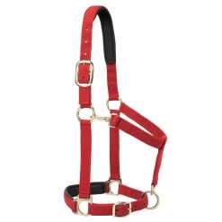 Weaver Leather Weaver Padded Adjustable Nylon Halter -Equestrian Supplies Store 35 77w c1158