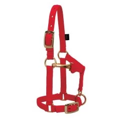 Weaver Leather Weaver Miniature Horse Nylon Halter - Average Size 10 Weaver Leather Weaver Miniature Horse Nylon Halter - Average Size -Equestrian Supplies Store 3760 c1158