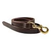 Quiet Creek Leather Lead With Brass Snap -Equestrian Supplies Store 4479 l c1126