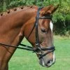 KL Select Red Barn Levade Padded Dressage Bridle -Equestrian Supplies Store 51020kl c1105