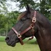 Walsh British Leather Halter -Equestrian Supplies Store 5146 c1109