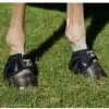 Back On Track Therapeutic Ceramic Performance Bell Boots -Equestrian Supplies Store 5481c c1105