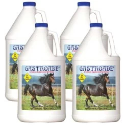 Cox Vet Labs Gastroade - Gallon Case Of 4