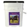 Cox Vet Labs Gastroade Pellet 25 Lb -Equestrian Supplies Store 569725
