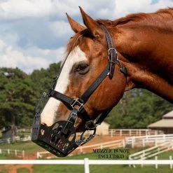 GreenGuard Breakaway Halter -Equestrian Supplies Store 61374 h c1105 alt1
