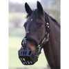 GreenGuard Grazing Muzzle -Equestrian Supplies Store 61374 c1105