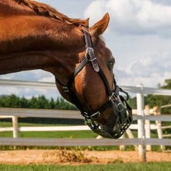 GreenGuard Breakaway Halter -Equestrian Supplies Store 61374 c1105 alt1