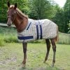 5/A Baker Foal Expand O Blanket -Equestrian Supplies Store 7053j c1316 d63731c4 f1f2 47cf 9f4c aadfb3906233