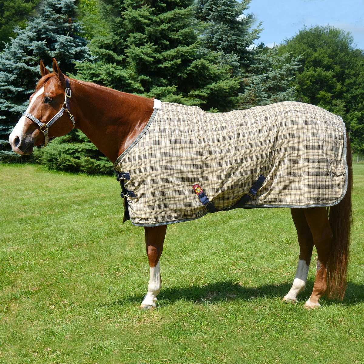 5/A Baker Deluxe Stable Blanket 3 5/A Baker Deluxe Stable Blanket